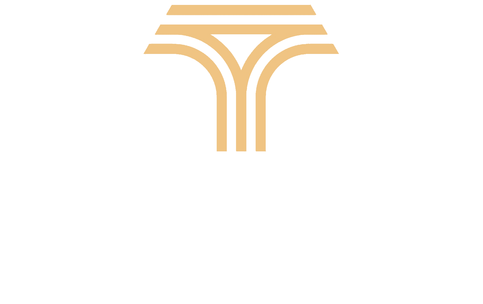 Tenório Leilões
